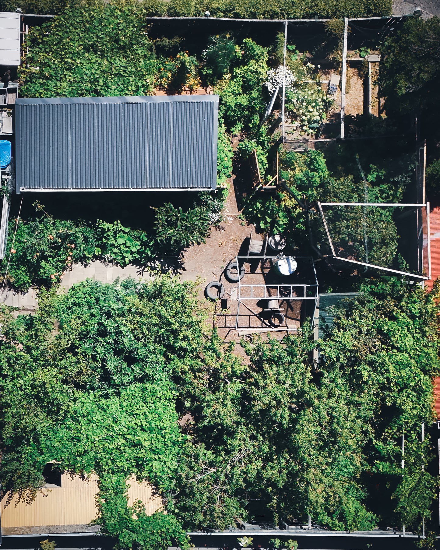 Urban Food Forest Garden Tour