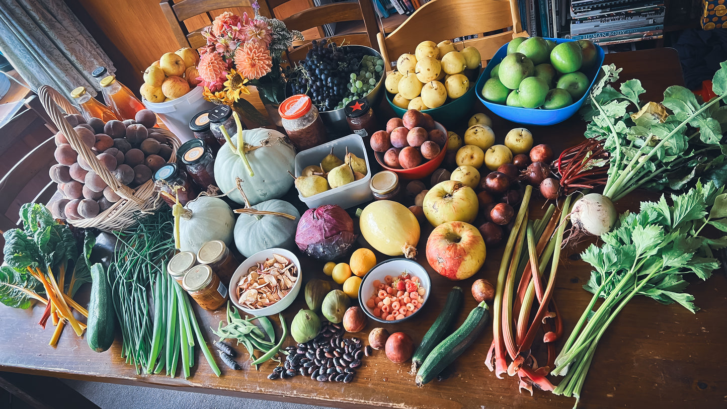 Urban Food Forest Garden Tour